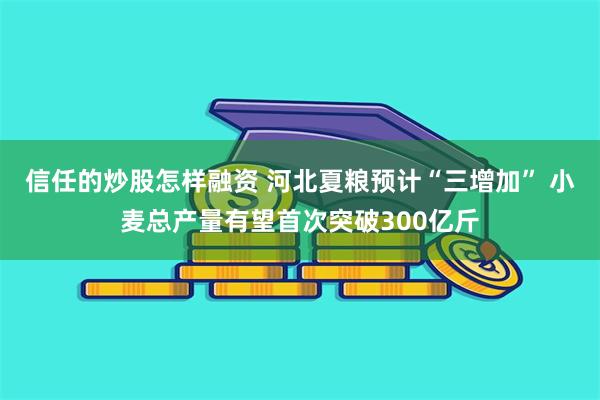 信任的炒股怎样融资 河北夏粮预计“三增加” 小麦总产量有望首次突破300亿斤