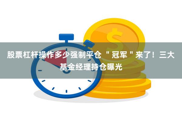 股票杠杆操作多少强制平仓 ＂冠军＂来了！三大基金经理持仓曝光