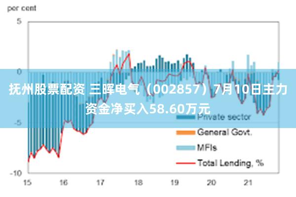 抚州股票配资 三晖电气（002857）7月10日主力资金净买入58.60万元