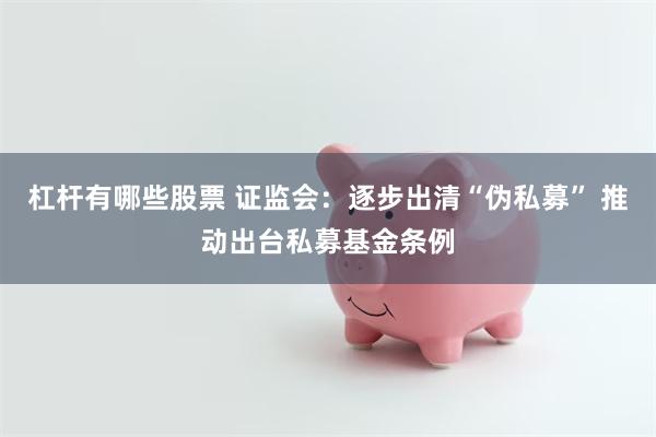 杠杆有哪些股票 证监会：逐步出清“伪私募” 推动出台私募基金条例