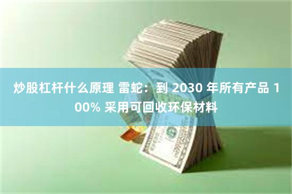 炒股杠杆什么原理 雷蛇：到 2030 年所有产品 100% 采用可回收环保材料