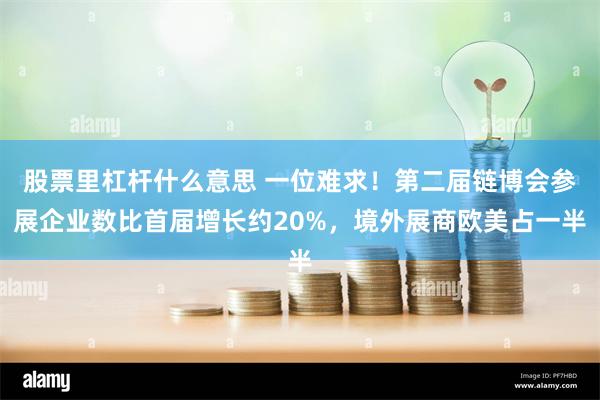 股票里杠杆什么意思 一位难求！第二届链博会参展企业数比首届增长约20%，境外展商欧美占一半