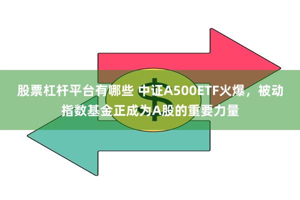 股票杠杆平台有哪些 中证A500ETF火爆，被动指数基金正成为A股的重要力量