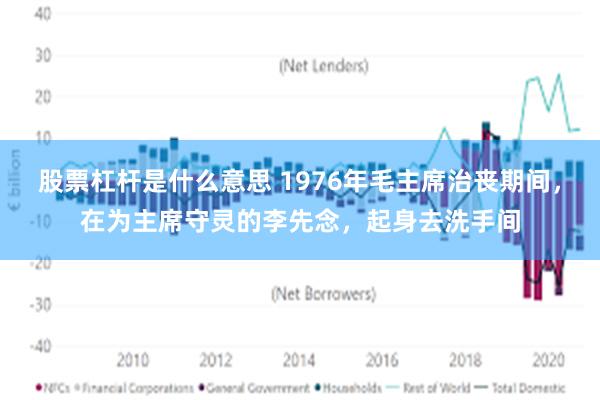 股票杠杆是什么意思 1976年毛主席治丧期间，在为主席守灵的李先念，起身去洗手间