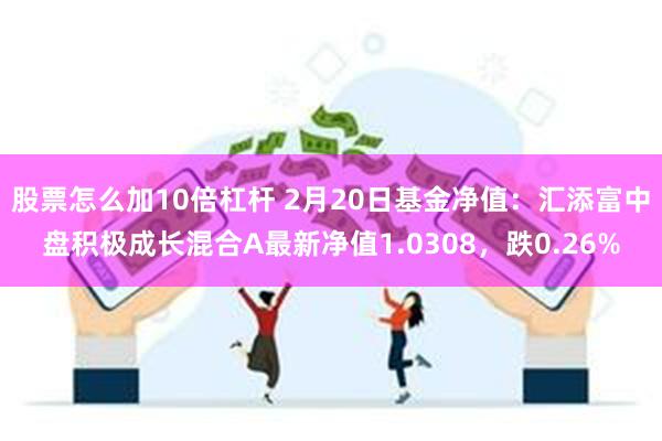 股票怎么加10倍杠杆 2月20日基金净值：汇添富中盘积极成长混合A最新净值1.0308，跌0.26%